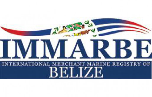 Обновленный циркуляр IMMARBE о программе самоинспекции и анализа контроля судов государствами порта
