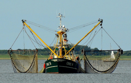 Услуги по регистрации рыболовных и рыбообрабатывающих судов под удобным флагом